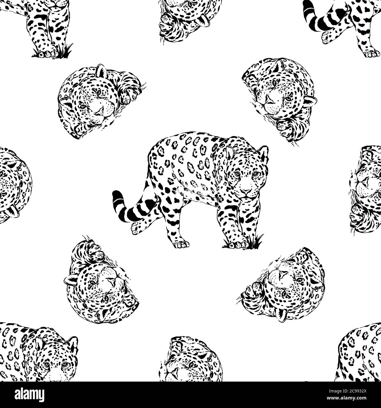 Seamless pattern of hand drawn sketch style leopards isolated on white ...