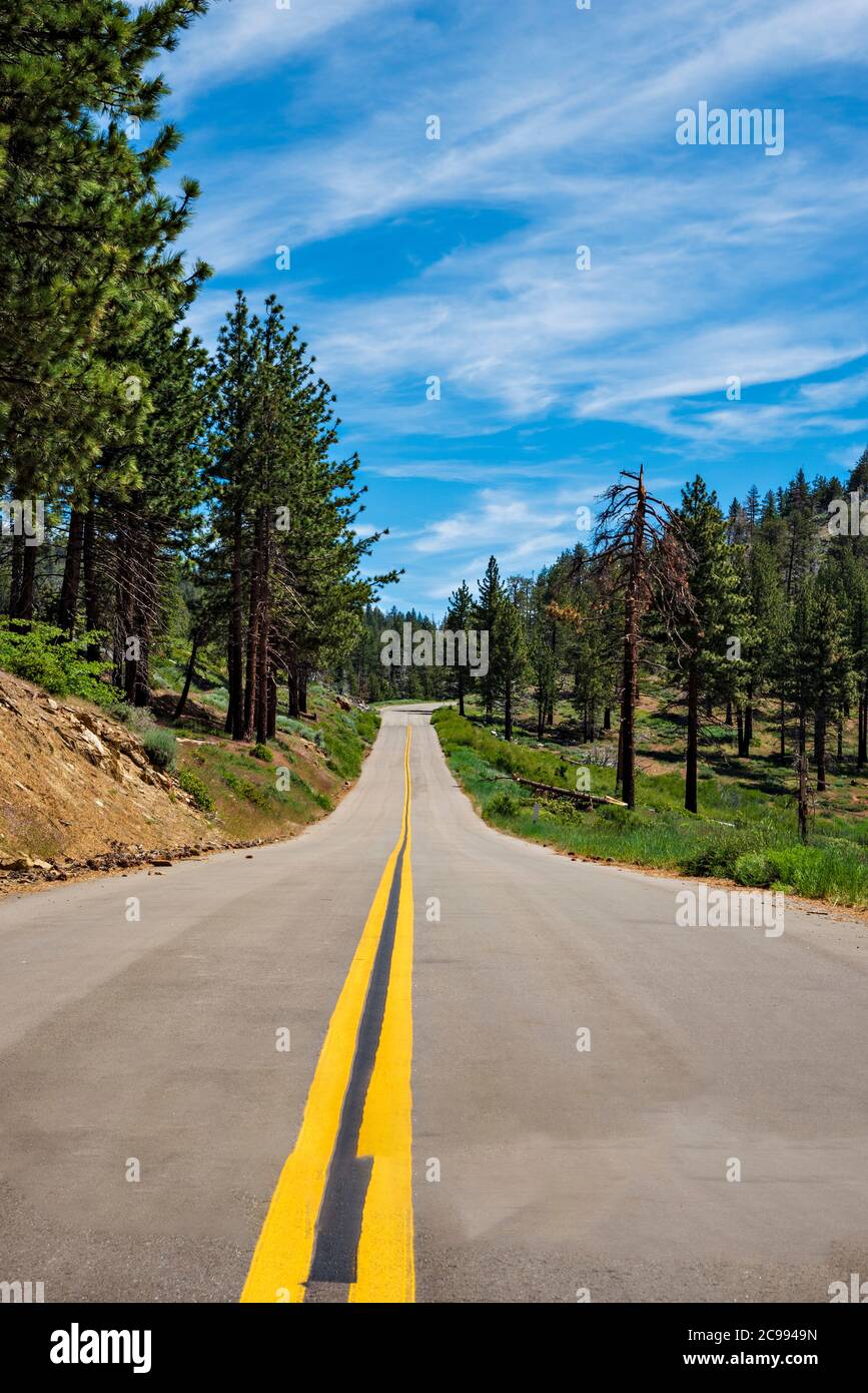 Scenic paved countryside road with double yellow lines leading through green forest under blue skies with white clouds. Stock Photo