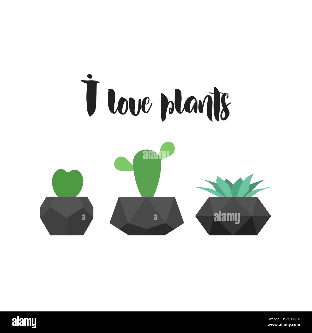 I love plants. Vector graphic for t-shirt print. Succulent and cactus plants in pots Stock Vector