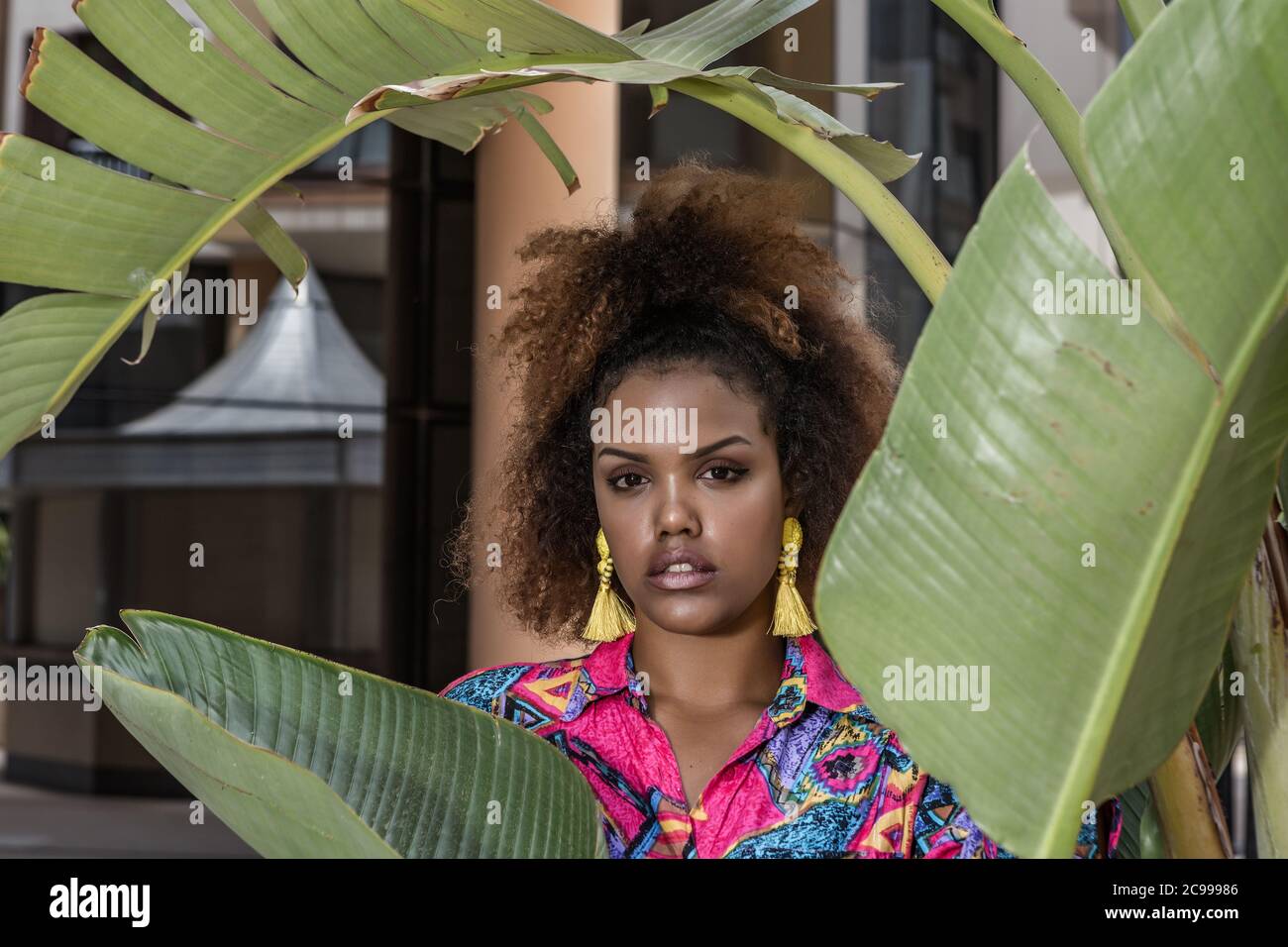Unemotional black female with Afro hairstyle and in trendy clothes standing near banana leaves in city and looking at camera Stock Photo