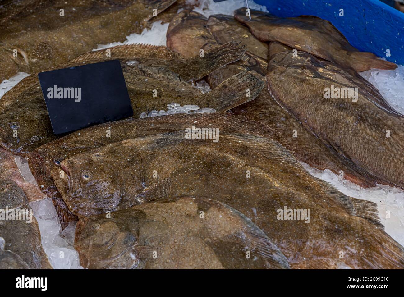 French fish market. Fresh flounder and catfish on the ice. Hight