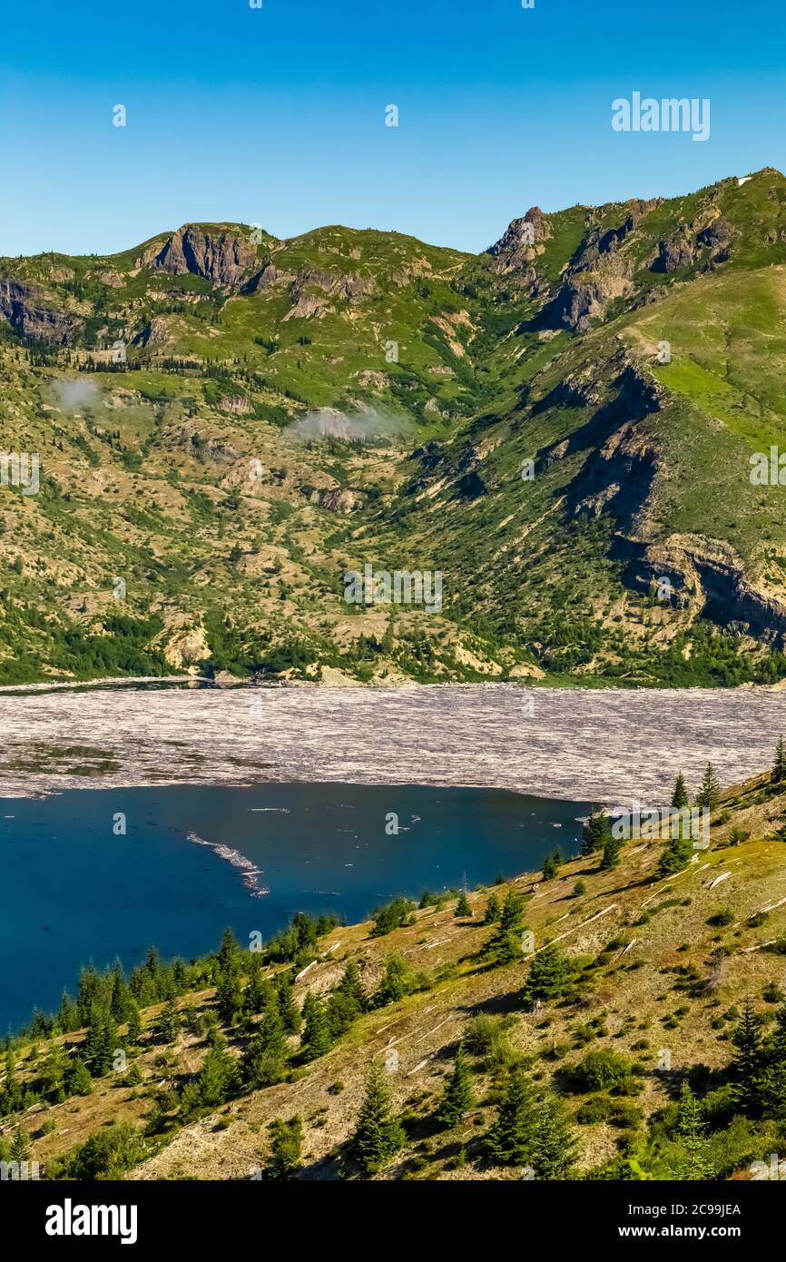 Spirit Lake with floating logs, 40 years after the blast, in Mount St