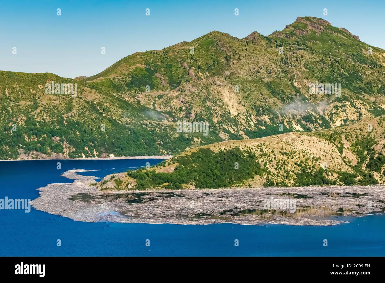Spirit Lake with floating logs, 40 years after the blast, in Mount St