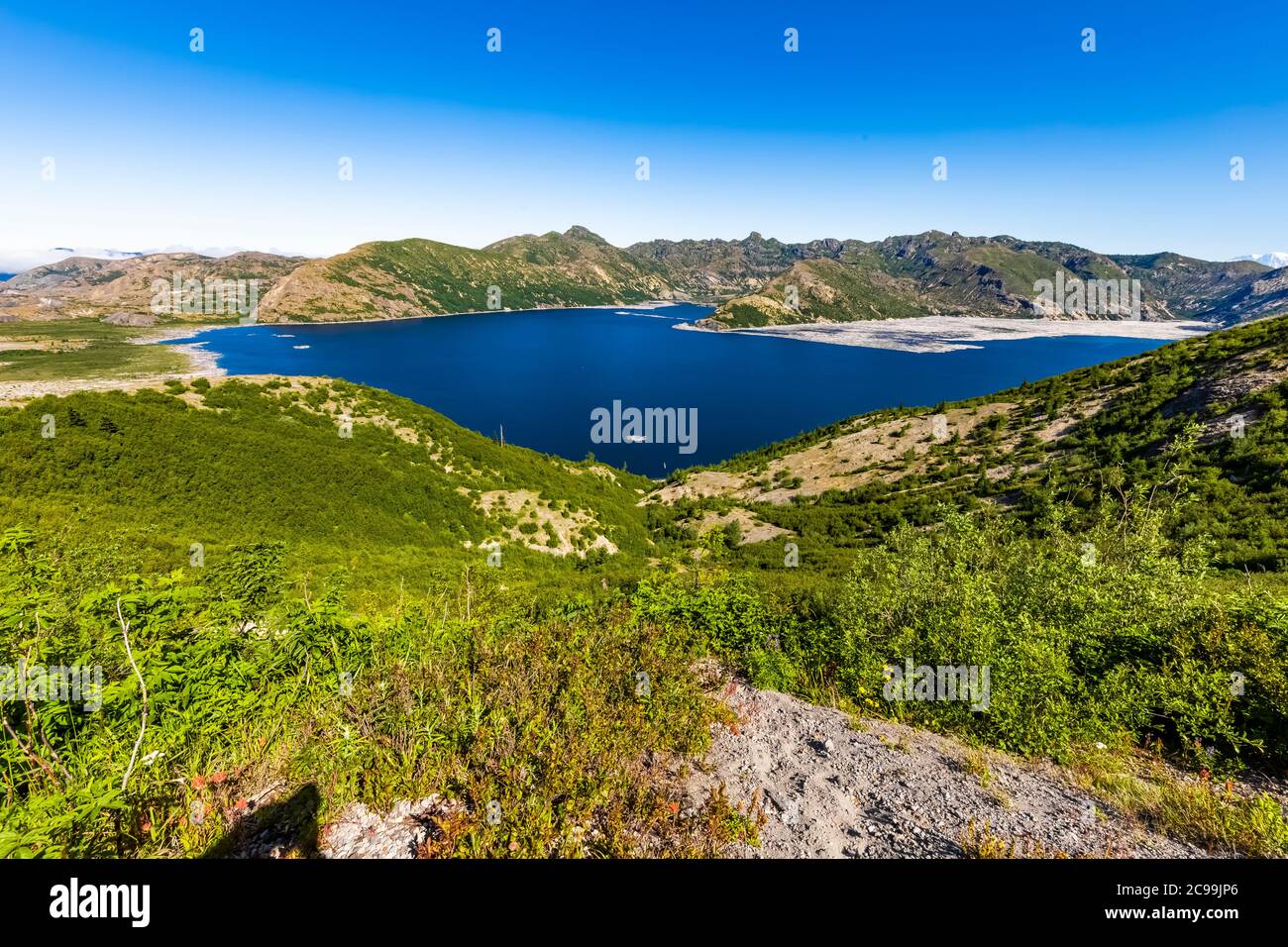 Spirit Lake with floating logs, 40 years after the blast, in Mount St