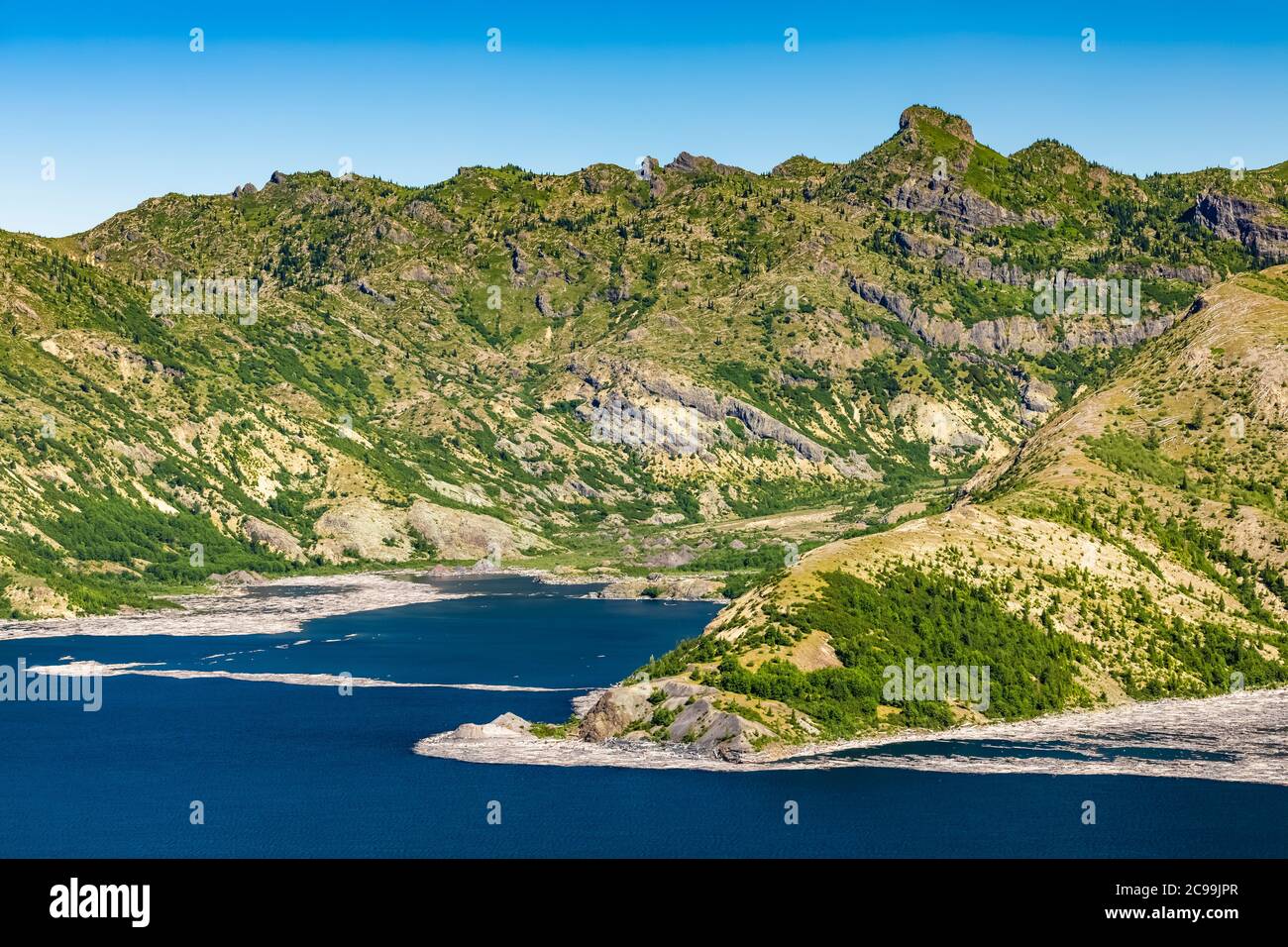 Spirit Lake with floating logs, 40 years after the blast, in Mount St