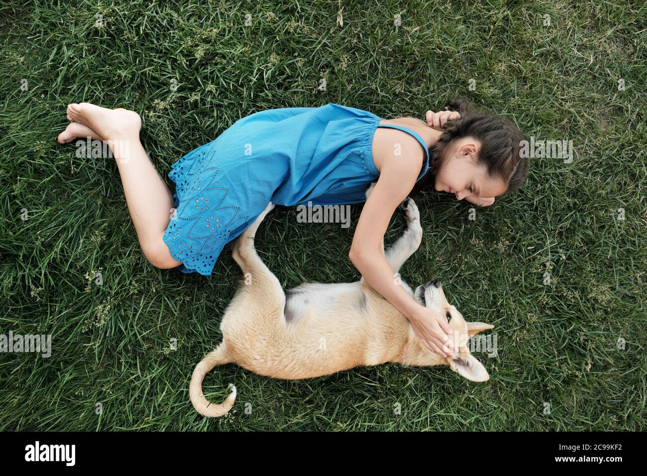 High angle view of little girl lying on the grass with her dog and ...