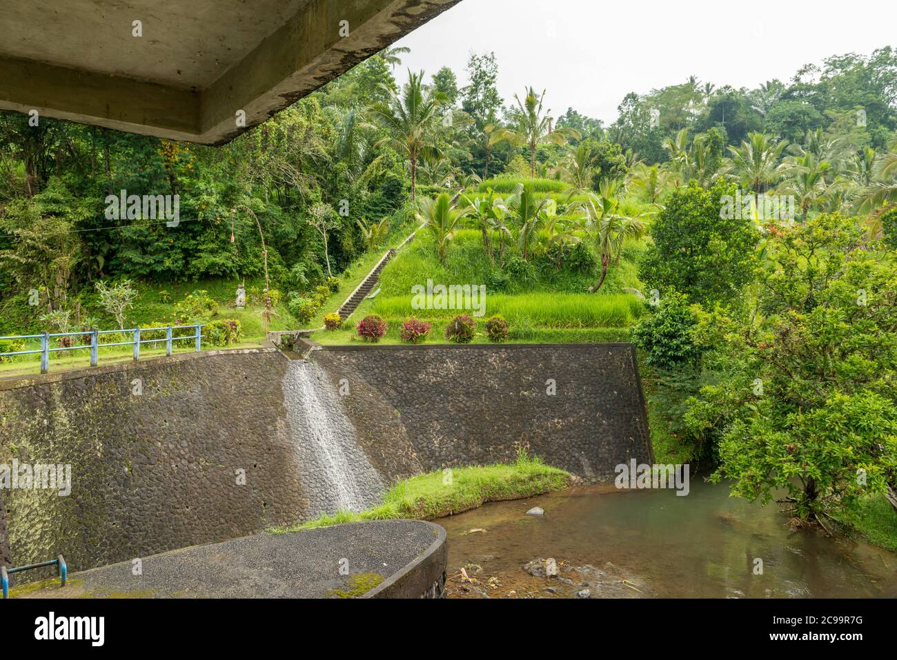 Water dam at Rice paddies Stock Photo - Alamy