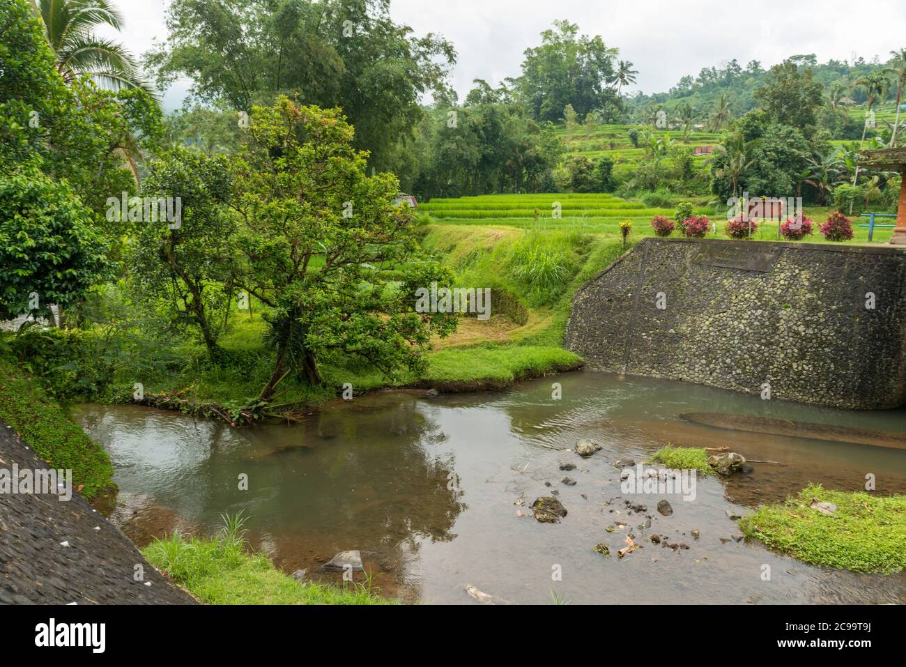 Water dam at Rice paddies Stock Photo - Alamy