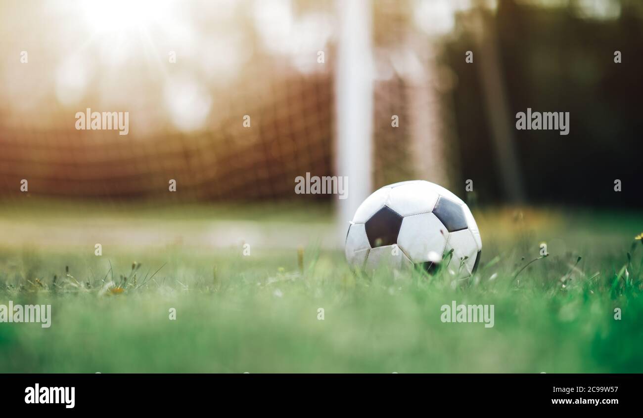 Black and whithe ball lying on green grass Stock Photo