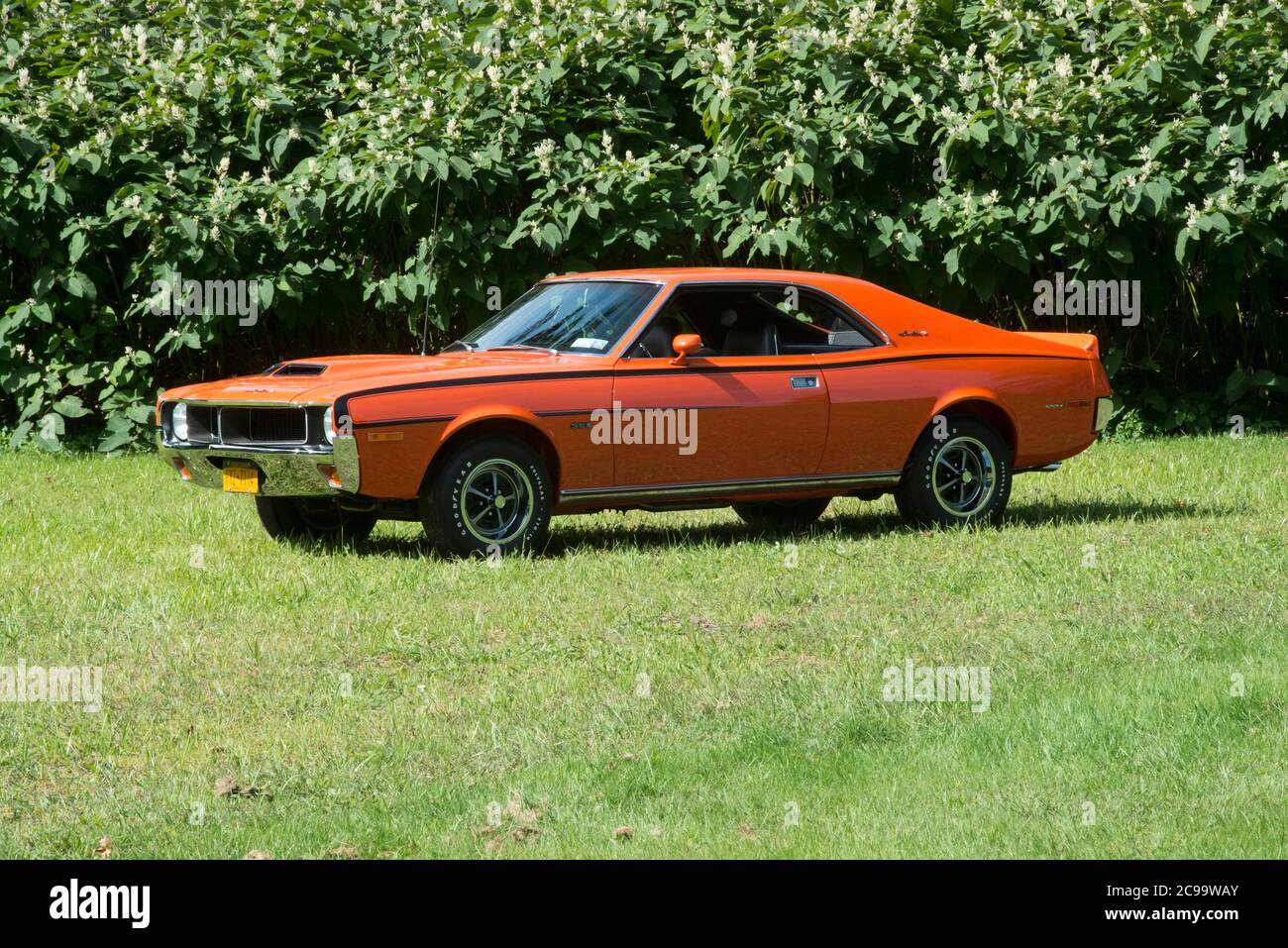 1970 American Motors Javelin front three-quarter view in field Stock Photo
