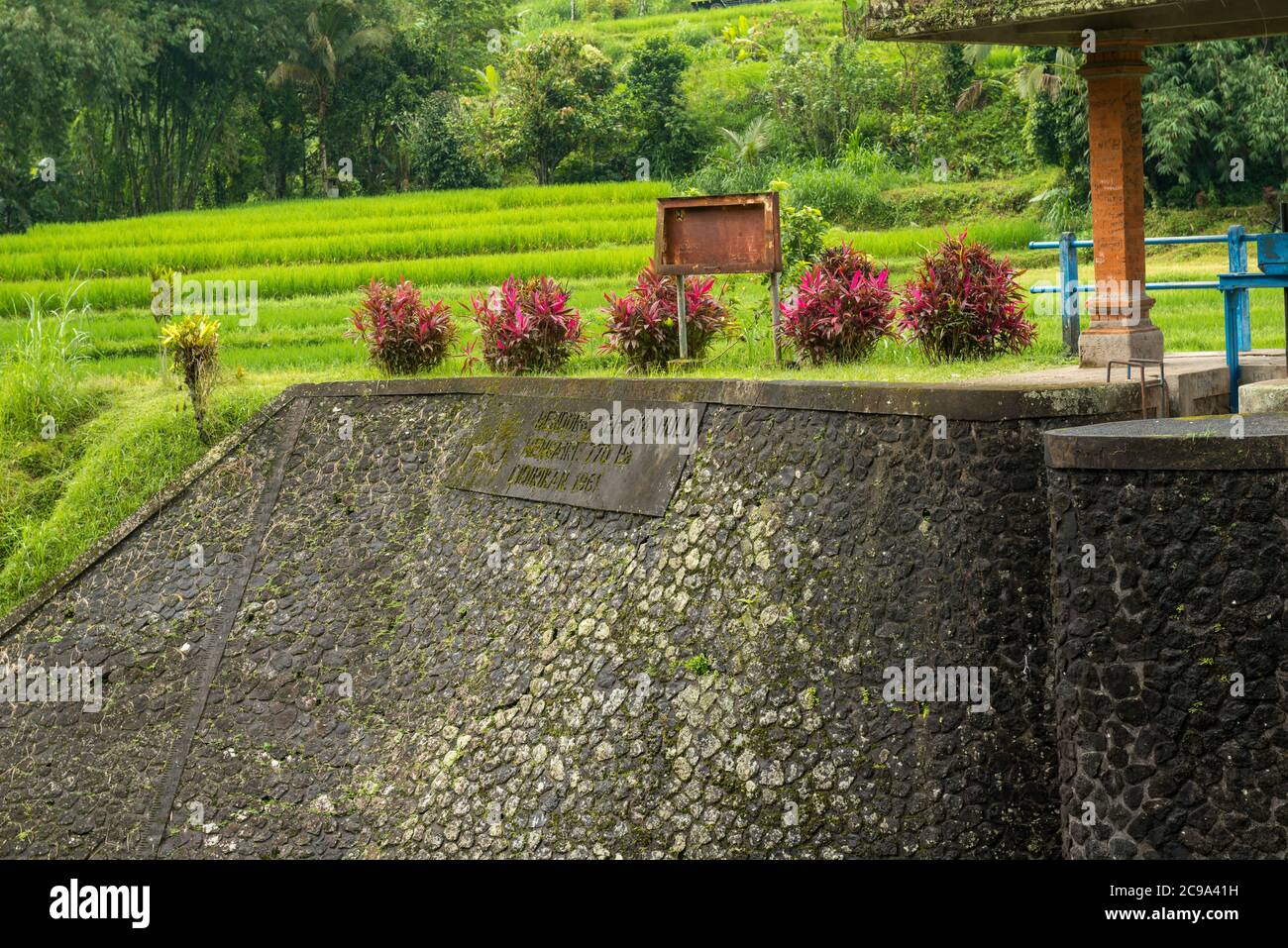Water dam at Rice paddies Stock Photo - Alamy