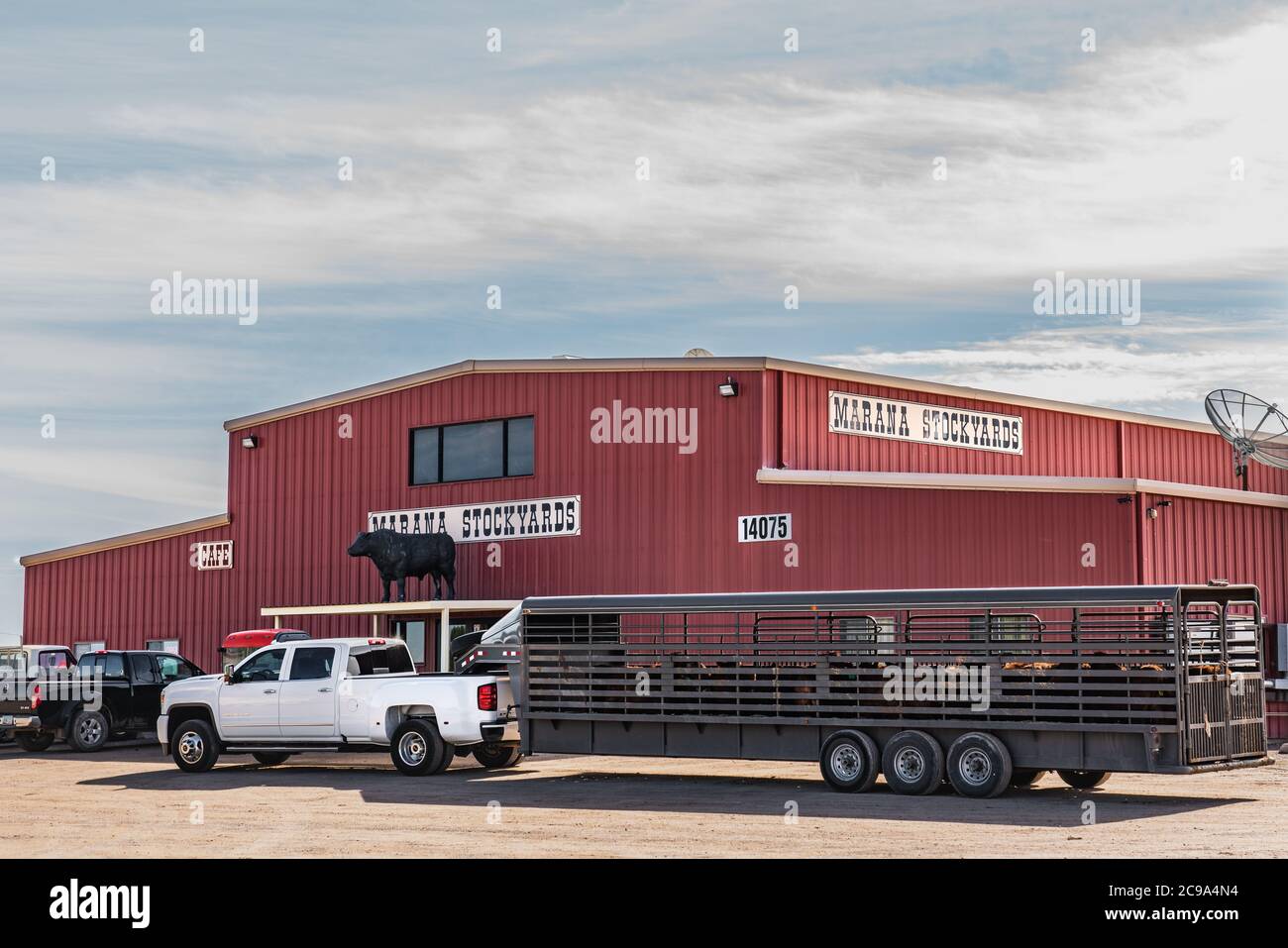 Livestock auction usa hires stock photography and images Alamy
