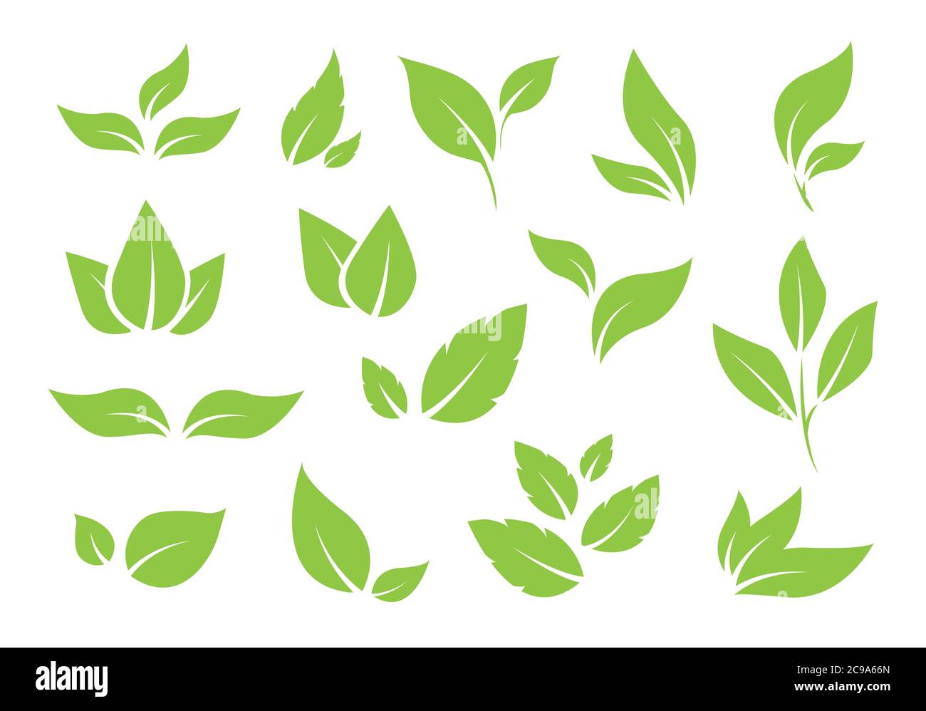 Green tree leaves. Various shapes of green leaves of trees and plants. Elements for eco and bio logos. Vector illustration. Stock Vector