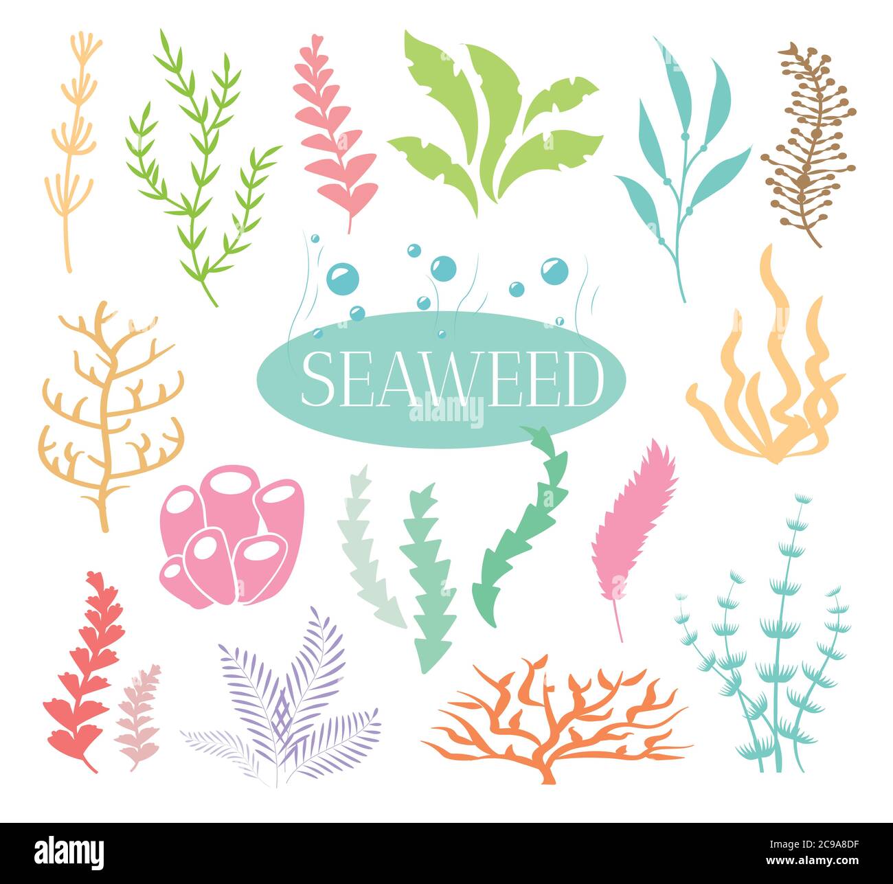Aquarium and seas seaweed. Ocean coral flora, underwater different water plants. Stock Vector