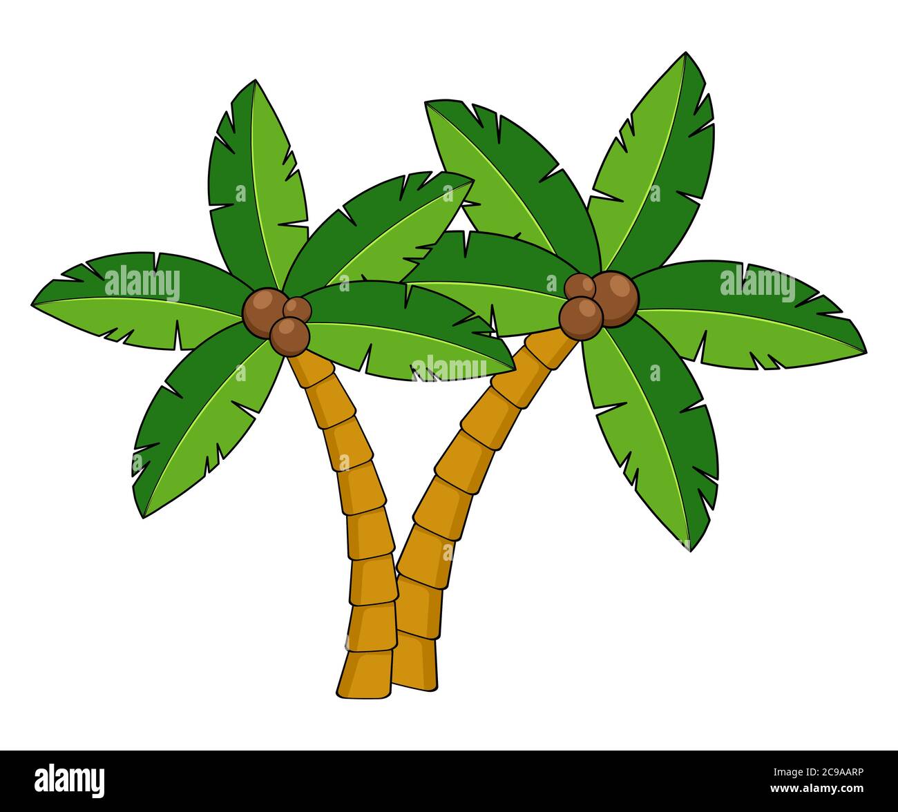 Palm trees cartoon illustration.Two curved coco palm isolated on white. Design element for summertime leaflet or advert. Exotic palmtree illustration. Stock Vector