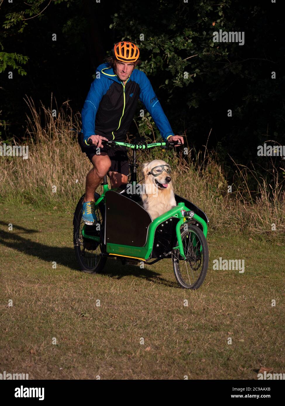Cargo bike rider with pet Golden Retriever wearing vintage motorcycle
