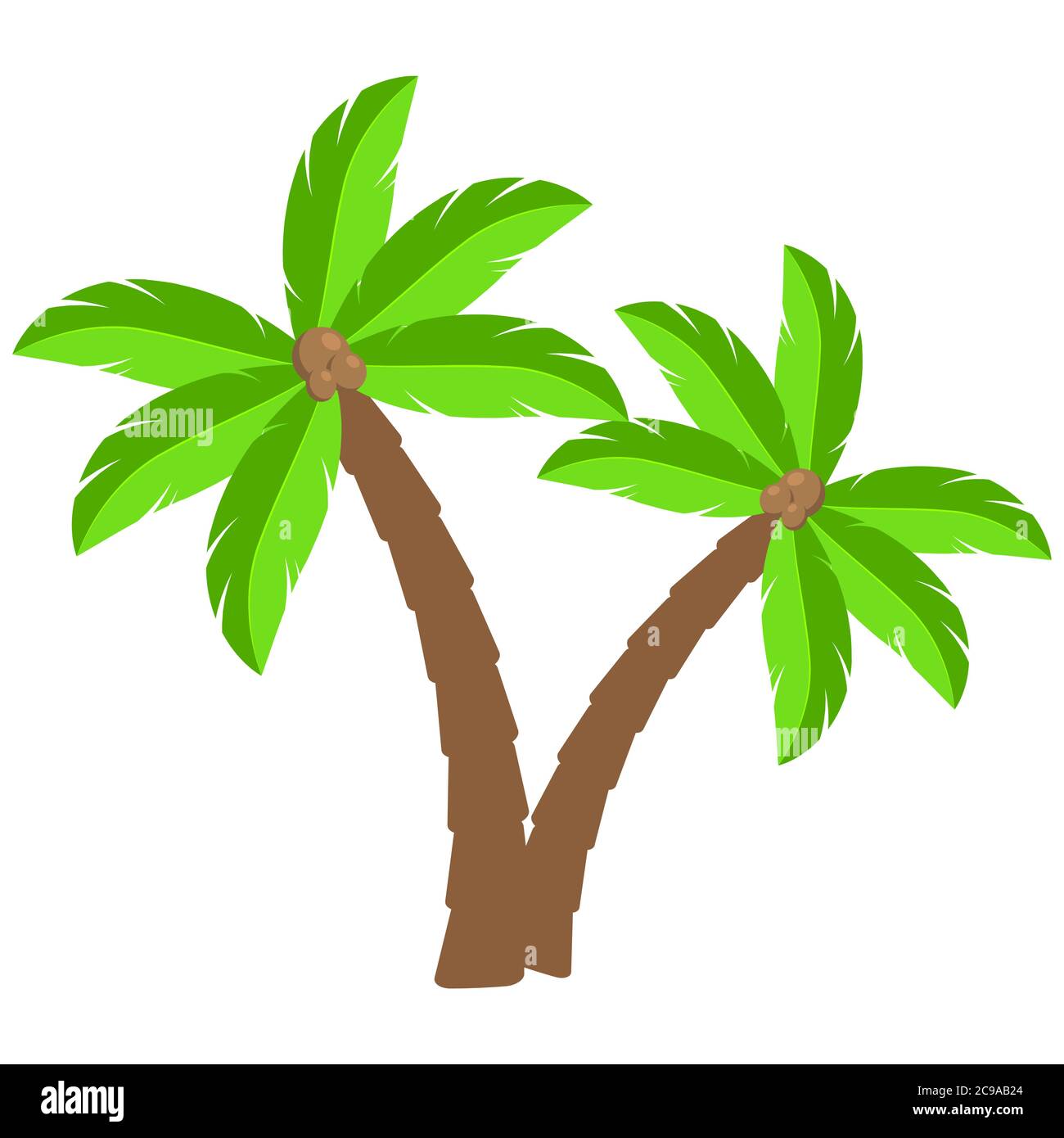 Tropical palm trees cartoon illustration.Two curved coco palm isolated on white.  Exotic palmtree illustration. Paradise plants symbol clipart.Design Stock Vector