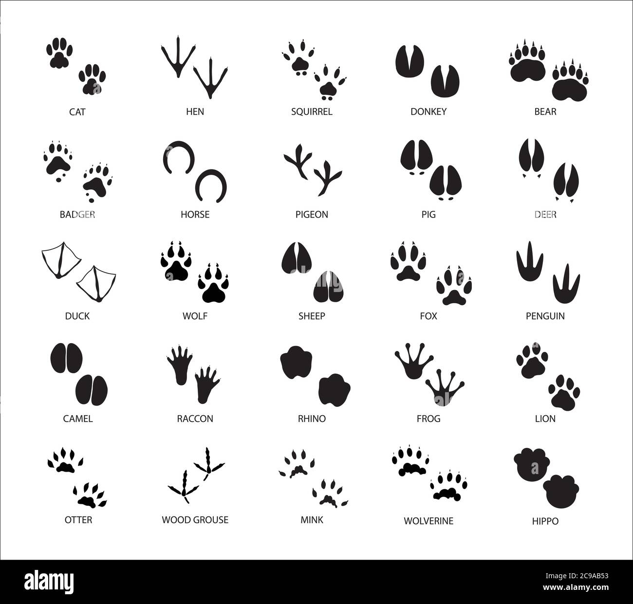 Set of different animals and birds silhouette tracks with description isolated on white background flat vector illustration Stock Vector