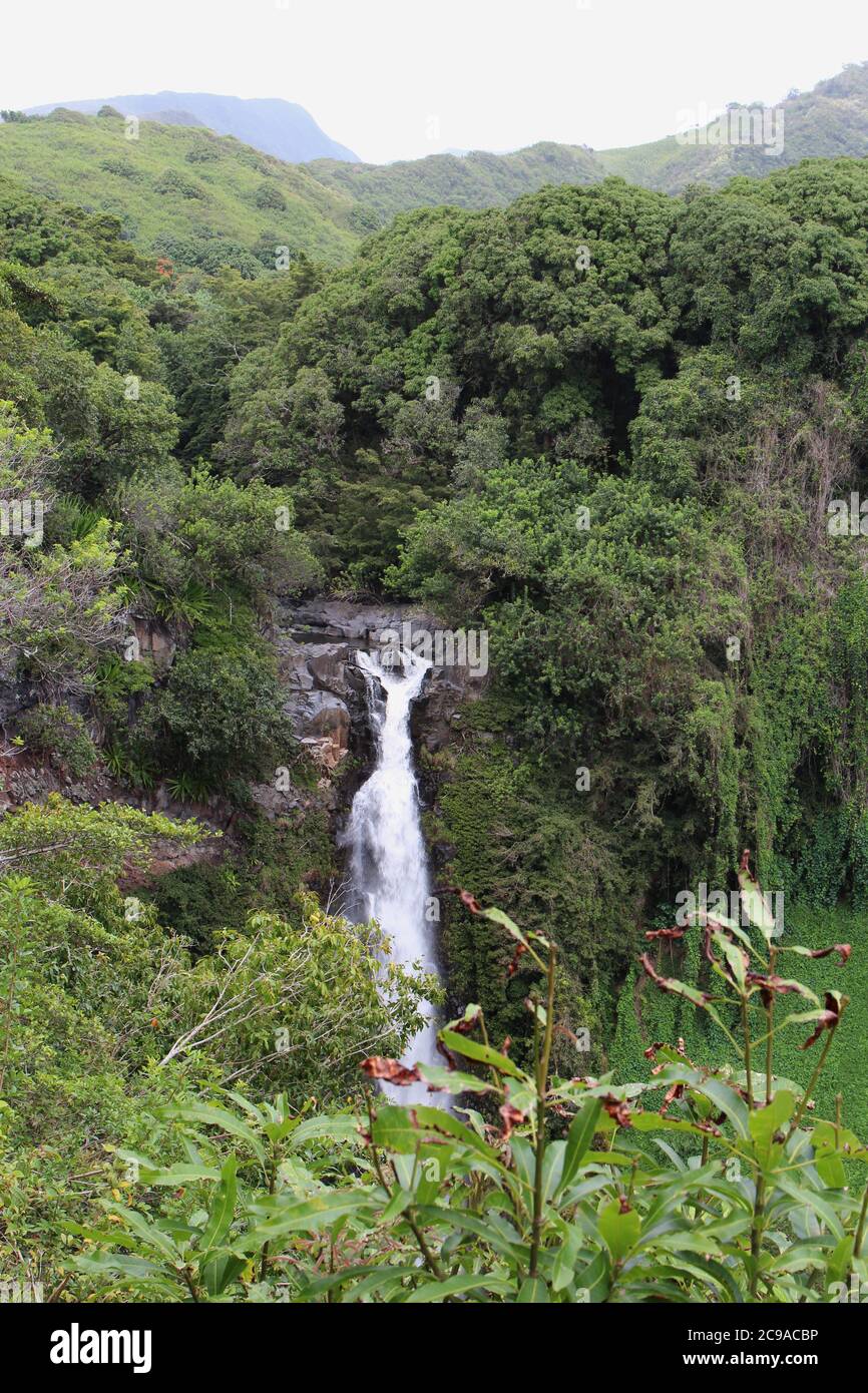 Makahiku Falls plummenting down a cliffside made of volcanic rock in the middle of a rainforest in Haleakala National Park, Maui, Hawaii, USA Stock Photo