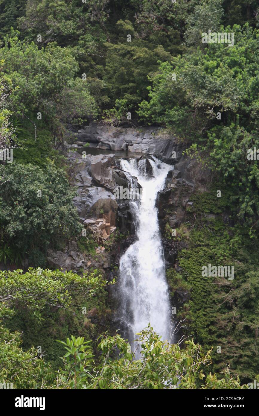 Makahiku Falls plummenting down a cliffside made of volcanic rock in the middle of a rainforest in Haleakala National Park, Maui, Hawaii, USA Stock Photo