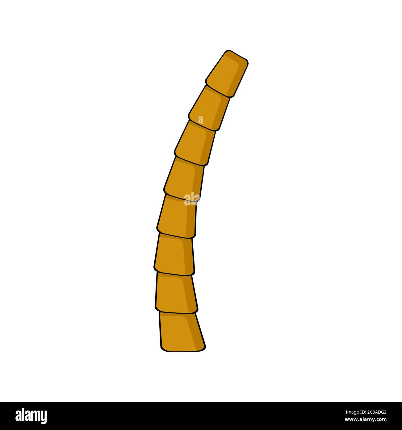 Palm trunk isolated on white. Part of palmtree cartoon illustration