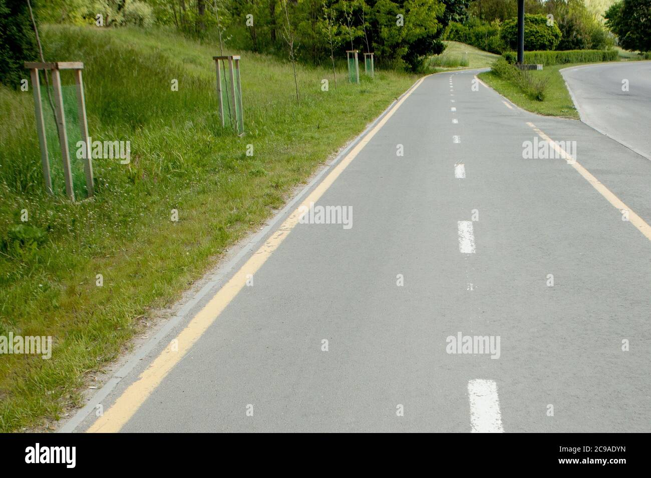 Bicycle signs on the bicycle way in the city Stock Photo