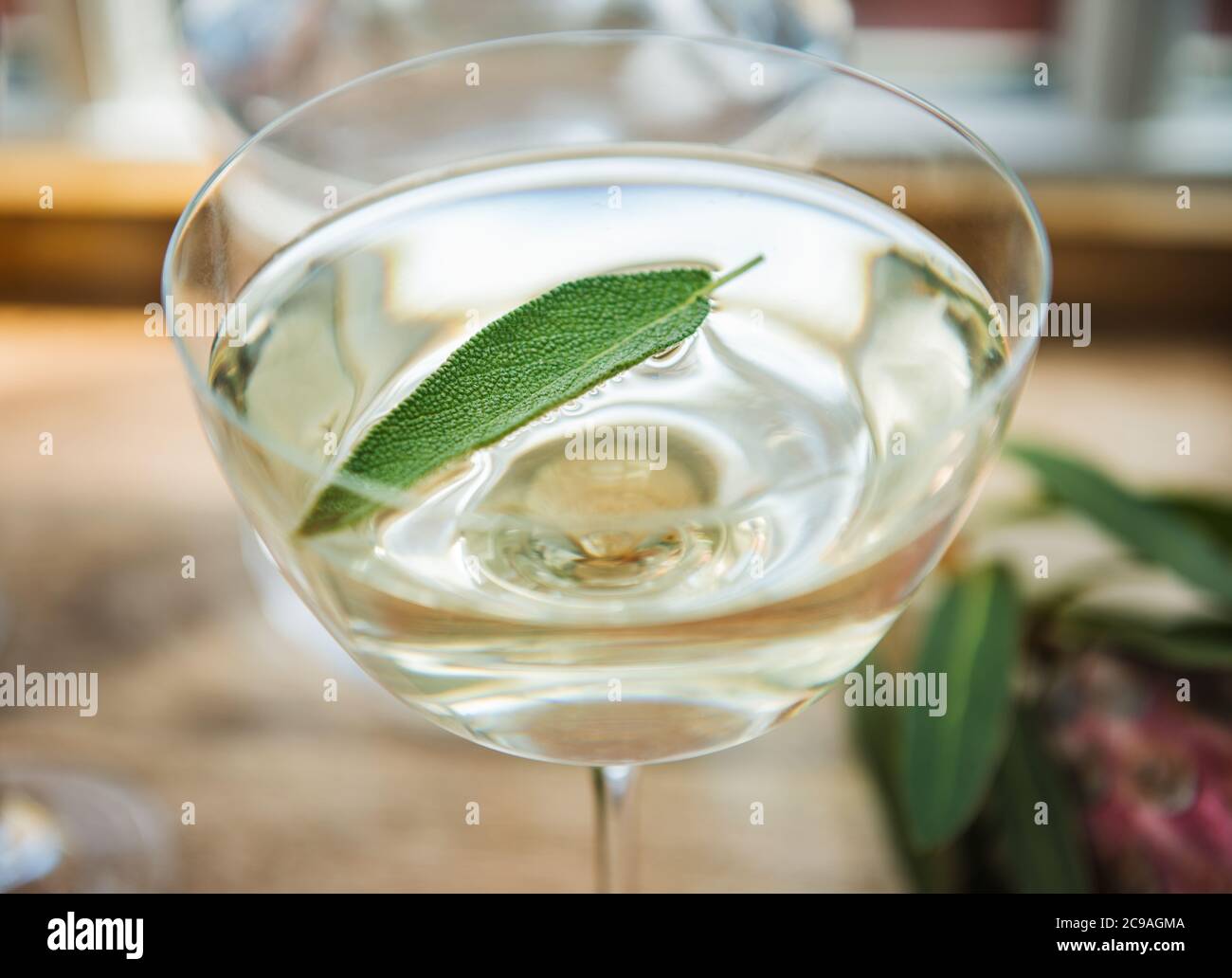 Champagne cocktail with sage garnish Stock Photo