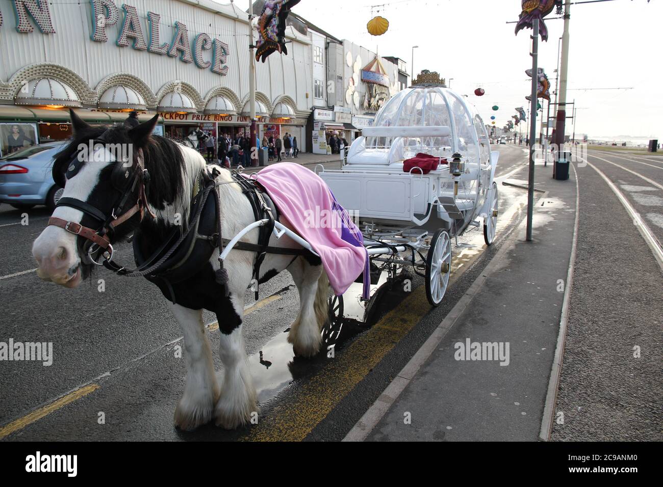 Princess Carriage Horse Ride in Blackpool UK Stock Photo Alamy