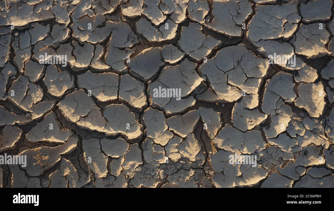 cracked dry land without water Stock Photo Alamy