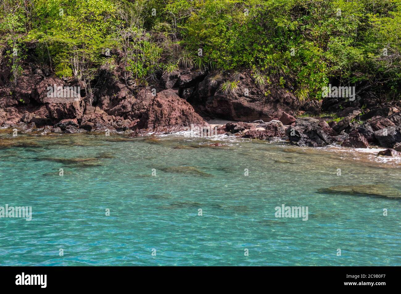 Pristine crystal clear sea on rocky beach with wild vegetation in the background, Guadelupe Stock Photo