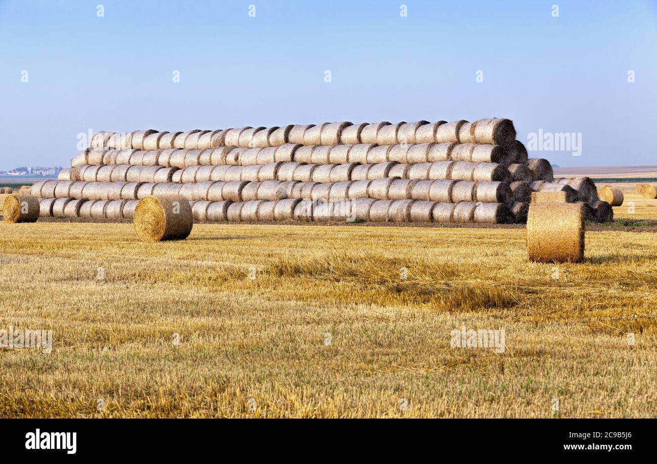 Simple Field Straw Prop Tightly rolled straw hi-res stock photography and images - Alamy