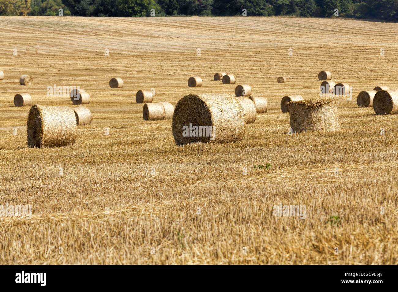 agricultural field with straw stacks Stock Photo - Alamy