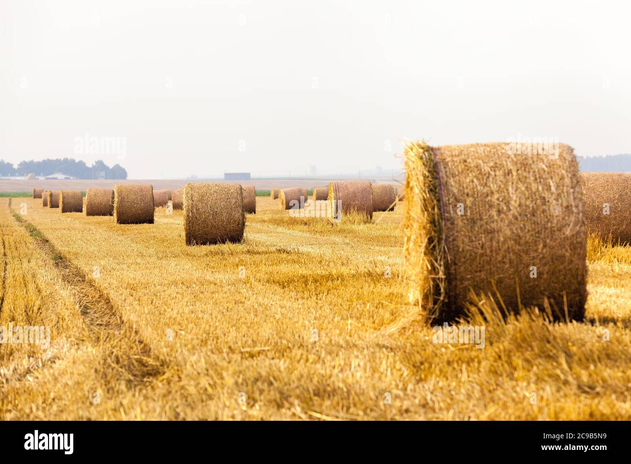 Simple Field Straw Prop Tightly rolled straw hi-res stock photography and images - Alamy