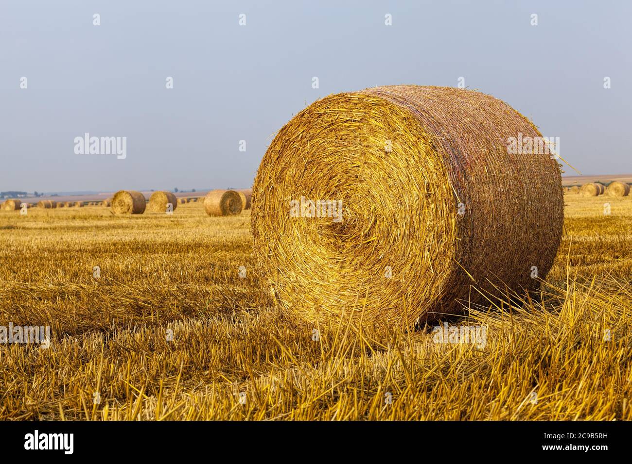 Simple Field Straw Prop Tightly rolled straw hi-res stock photography and images - Alamy