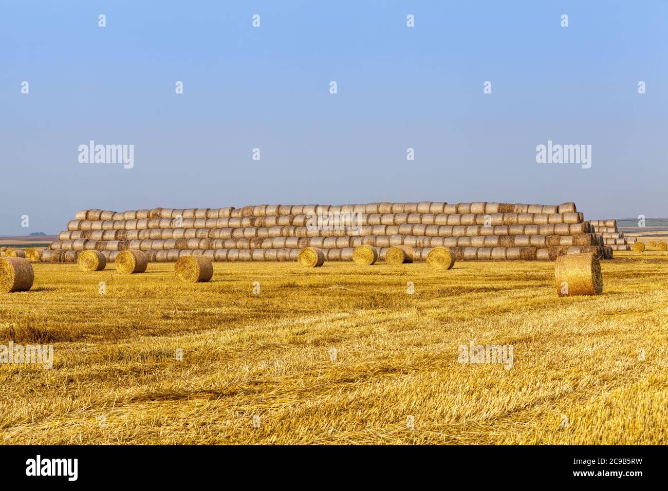 agricultural field with straw stacks Stock Photo - Alamy
