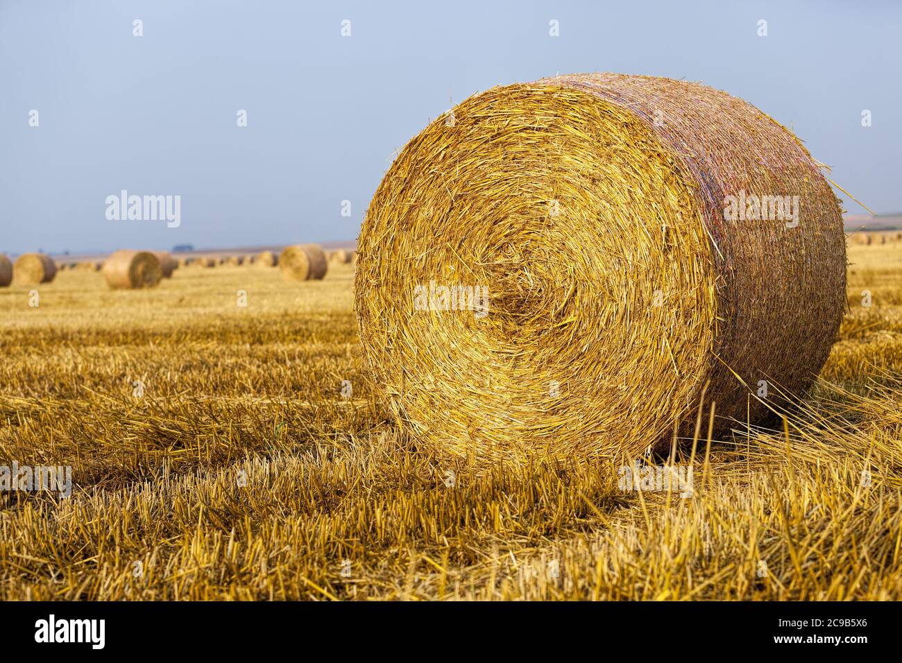 Tightly rolled straw hi-res stock photography and images - Alamy