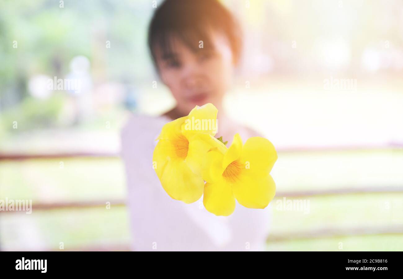 woman give flowers / lady holding flower , beautiful girl with yellow flower  on hand Stock Photo - Alamy