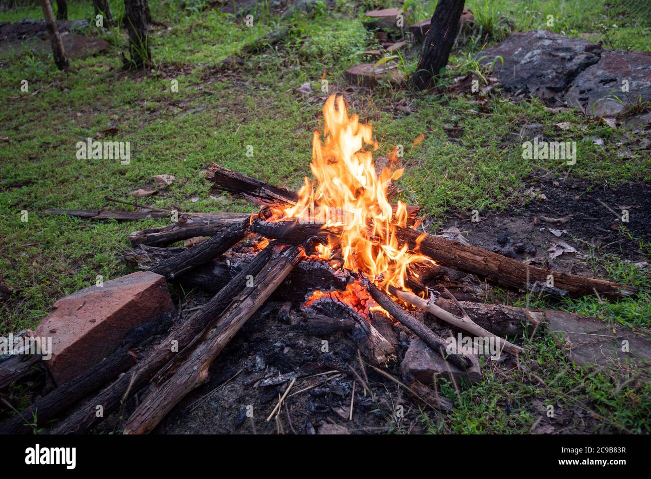 fire camping burning wood / bonfire forest Stock Photo Alamy