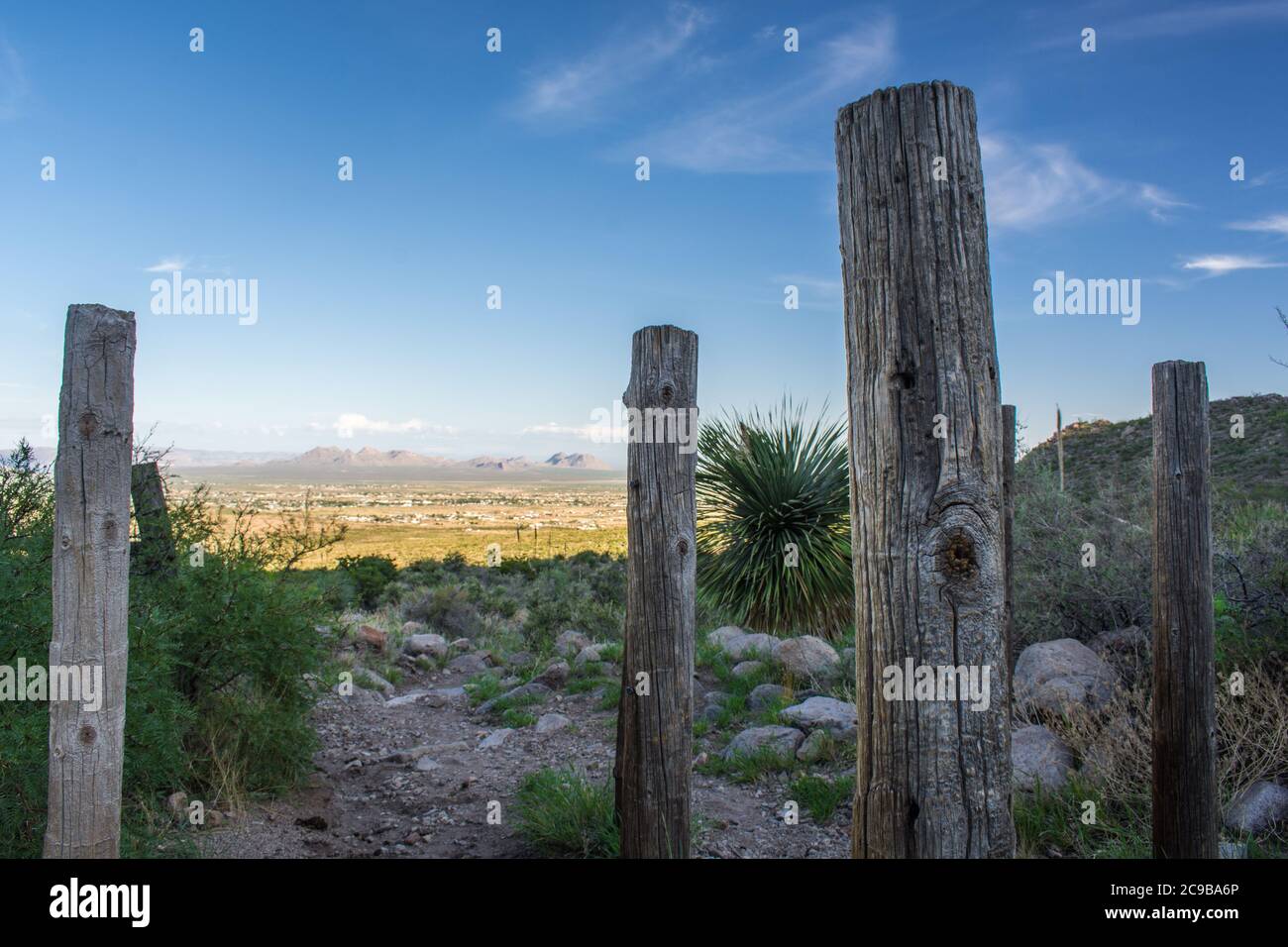 Old fence posts on the trail, Baylor Pass NM Stock Photo