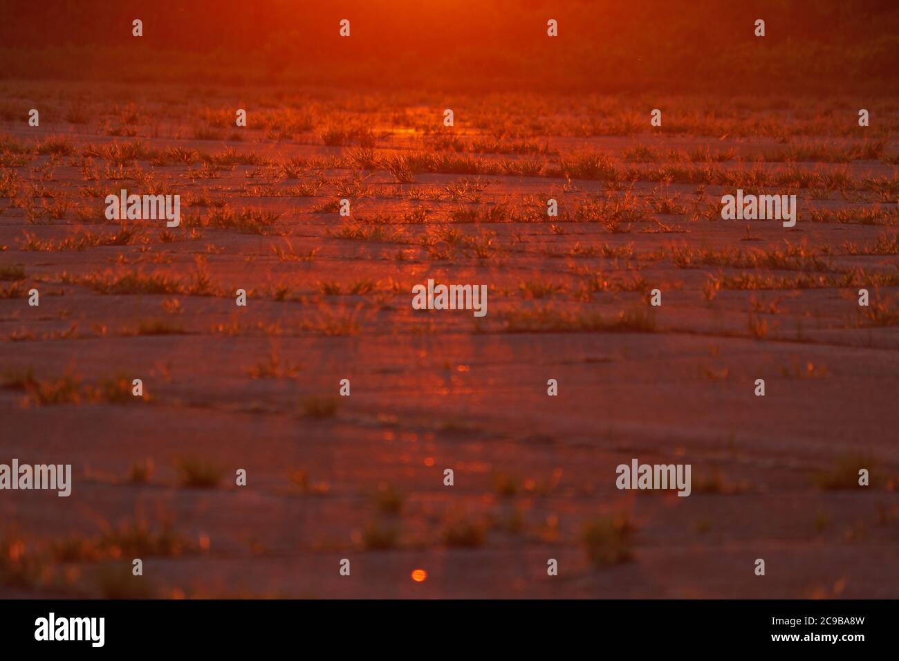 deep golden sunset glistening off pavement Stock Photo