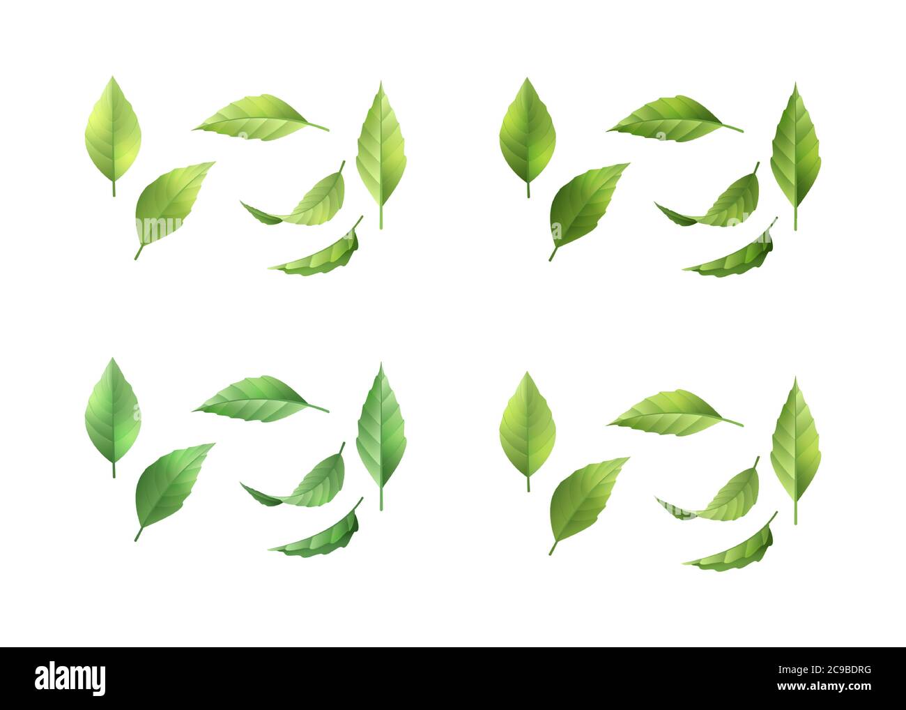 Collection of green leaves Stock Vector Image & Art - Alamy