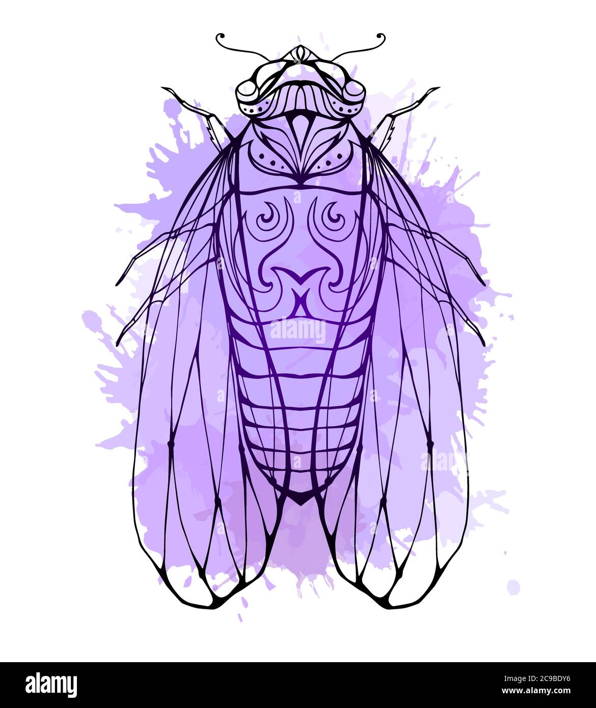 Illustration cicada  with boho pattern and watercolor splashes. Vector element for coloring prints, for T-shirts, tattoos and a sketch for your creati Stock Vector