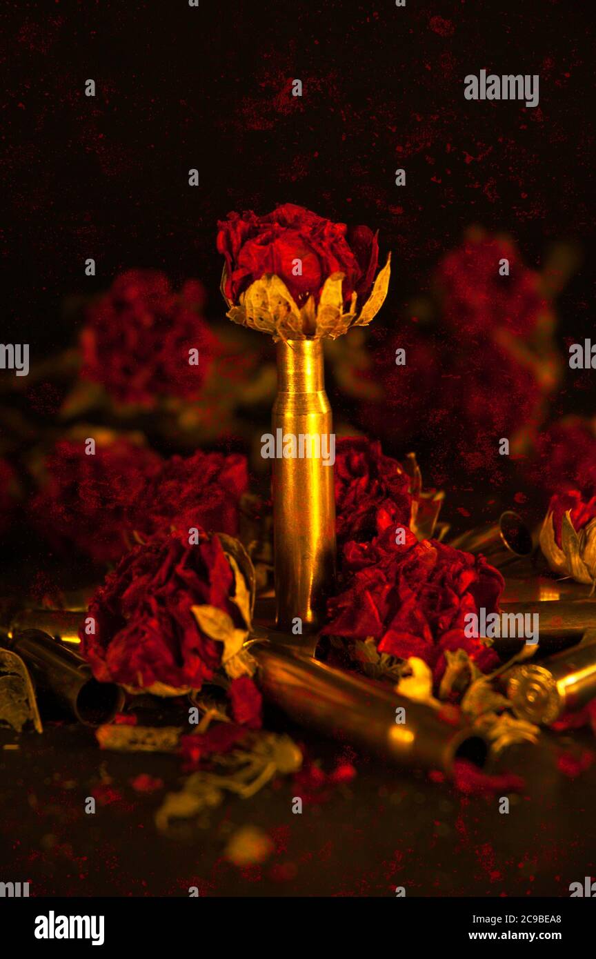 Grunge - Bullet Casing with dried roses Stock Photo