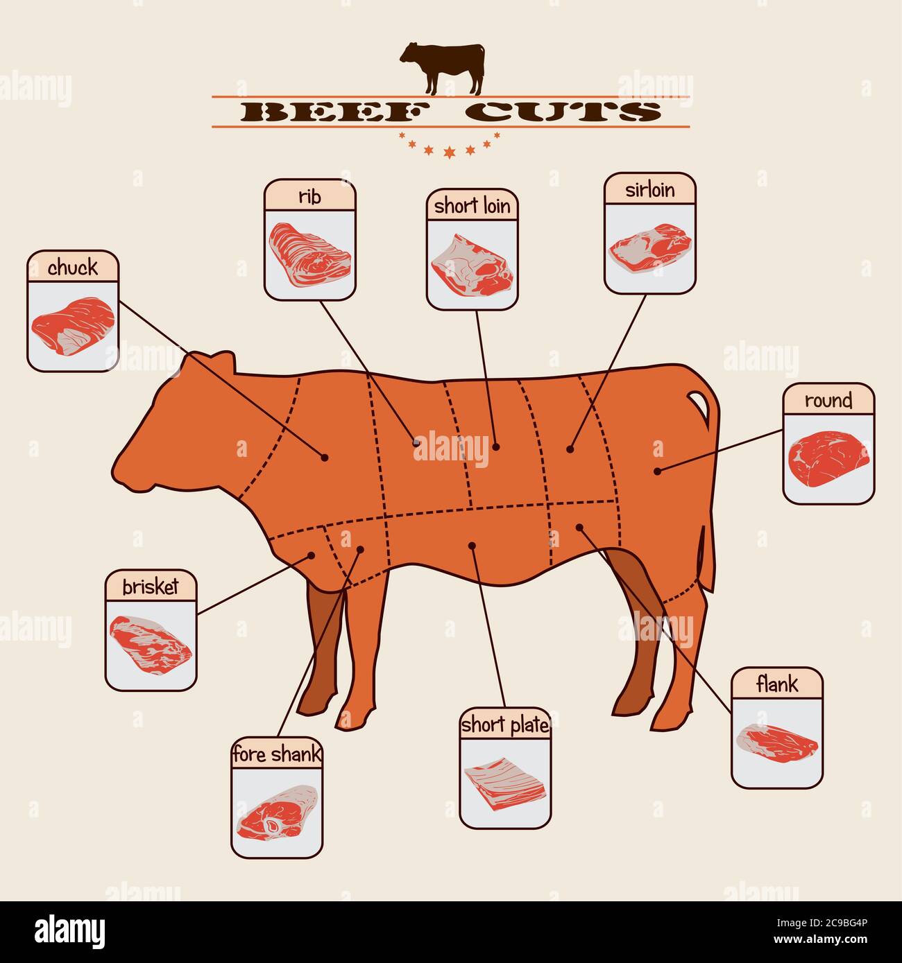 Cuts of beef diagram High Resolution Stock Photography and Images - Alamy