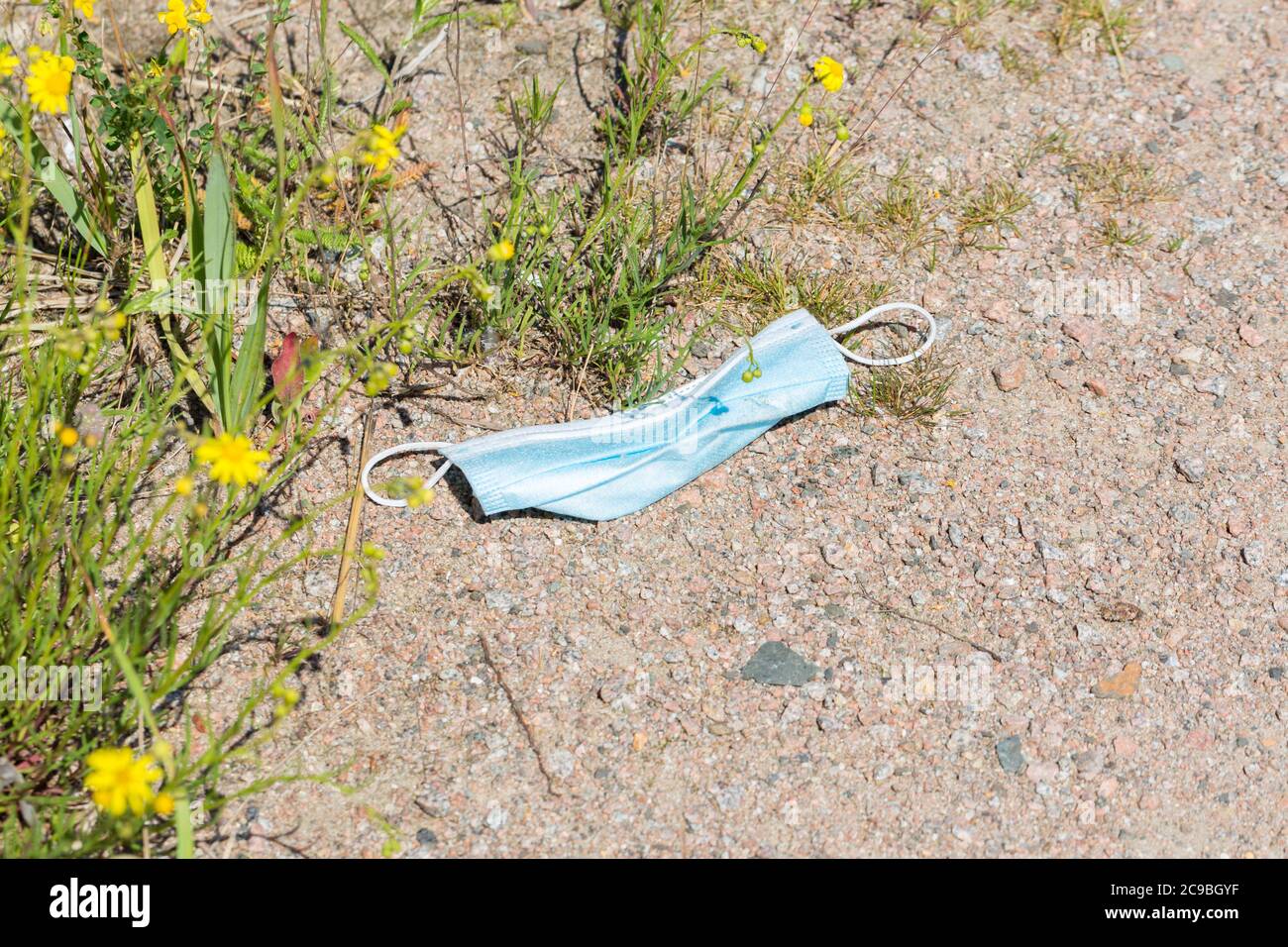 Hamburg, Germany - June 22, 2020: Used, blue face mask lying on the ground. Sandy soil with pebbles and grass. Stock Photo