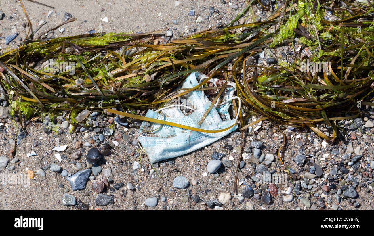 Travemünde, Schleswig-Holstein / Germany - June 24, 2020: Disposable face mask washed ashore a beach between sand, pebbles and sea weed. Lost or throw Stock Photo