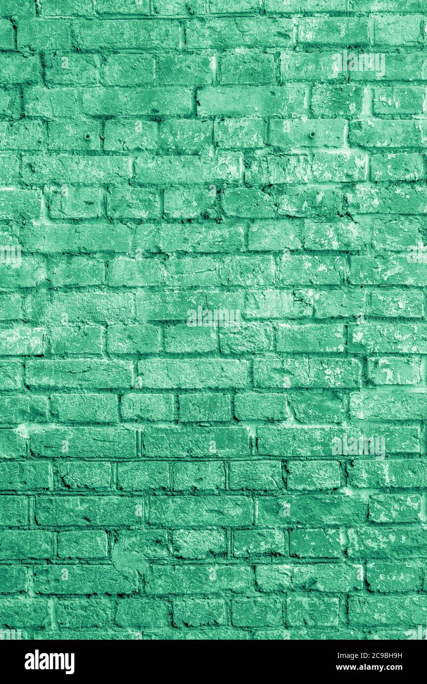 The background of the old green brick wall for design interior and ...