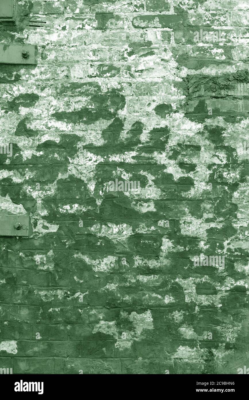 The background of the old green brick wall for design interior and ...