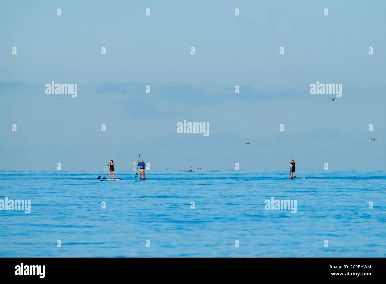 Worthing Beach, Worthing, UK. 30th July, 2020. Paddleboarders enjoy the calm morning sea . With a clear blue sky and flat waters people on paddle boards enjoy the early morning off the sussex coast. Rampion Wind Farm can be seen 13-20km offshore. Picture by Credit: Julie Edwards/Alamy Live News Stock Photo