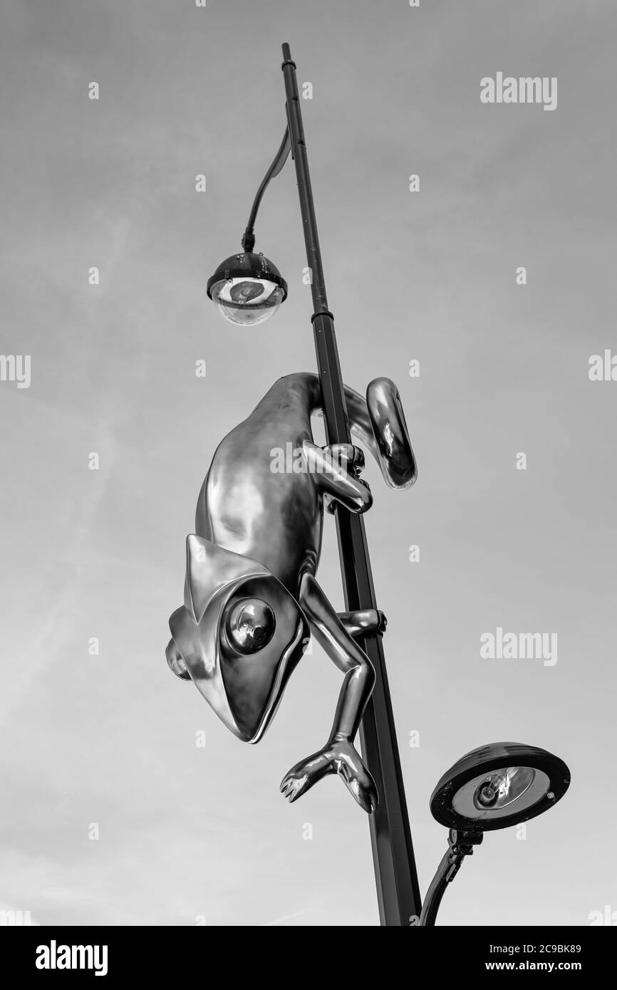 Giant stainless steel chameleon hanging from a lamp post isolated on a soft black and white sky. Stock Photo